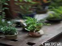 宁夏鼎钰物流有限公司