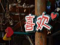 宁夏鼎钰物流有限公司