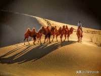 宁夏鼎钰物流有限公司
