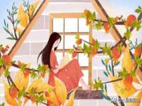 宁夏鼎钰物流有限公司