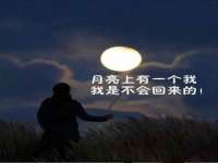 宁夏鼎钰物流有限公司