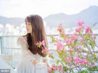 宁夏鼎钰物流有限公司