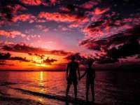 宁夏鼎钰物流有限公司
