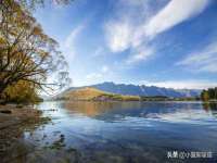 宁夏鼎钰物流有限公司