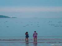 宁夏鼎钰物流有限公司