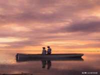 宁夏鼎钰物流有限公司