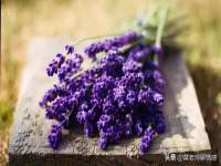 宁夏鼎钰物流有限公司