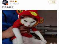 宁夏鼎钰物流有限公司