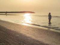 宁夏鼎钰物流有限公司