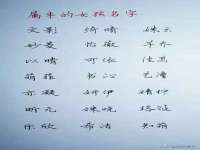 宁夏鼎钰物流有限公司