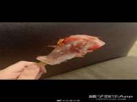 宁夏鼎钰物流有限公司